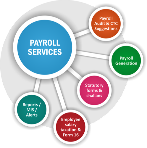 Contact CFO Account & Services for payroll services